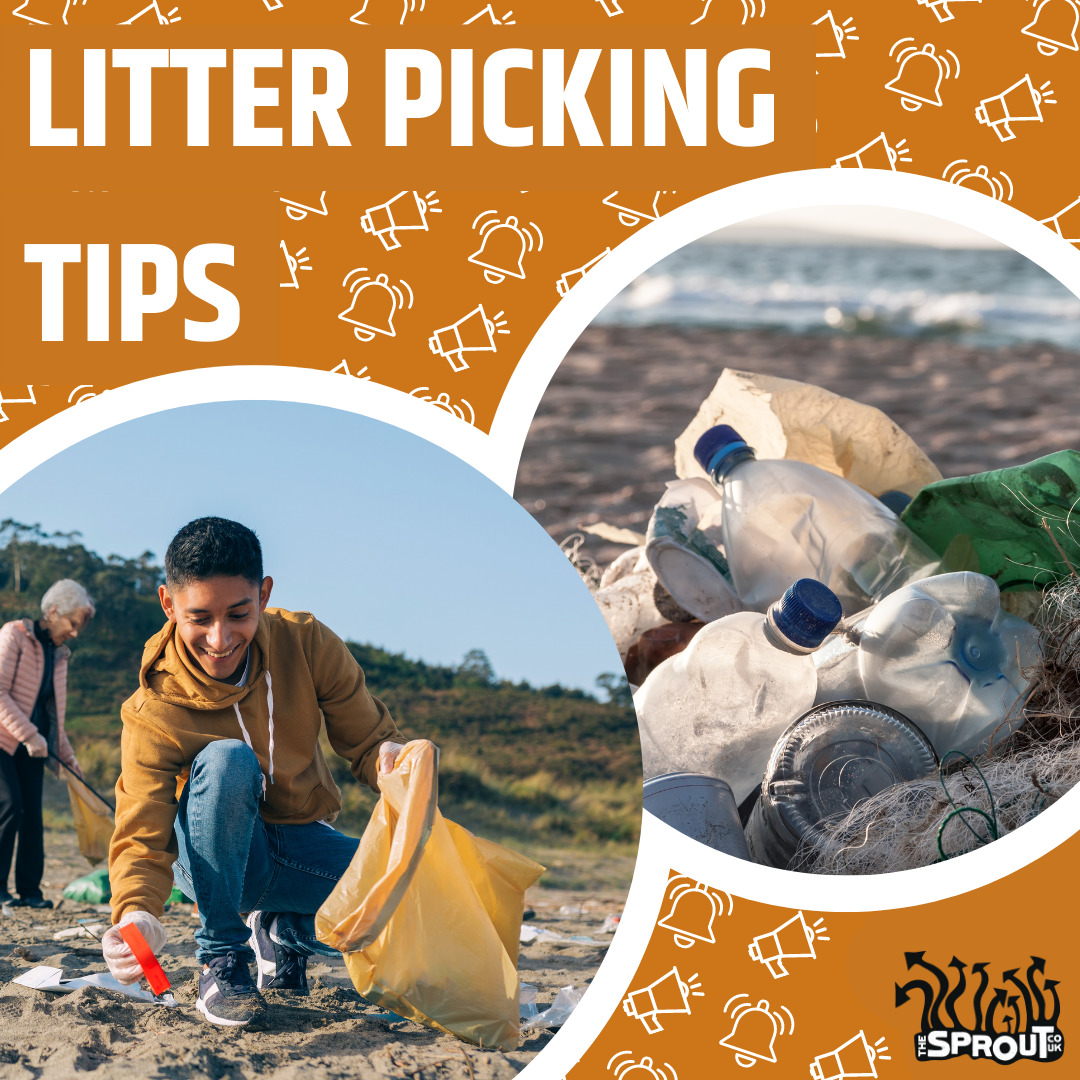 Top Tips For Litter Picking TheSprout