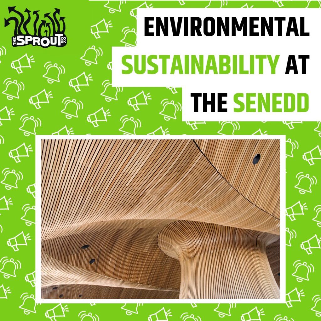 Graphic showing a wooden roof and funnel with the text 'Environmental Sustainability at the Senedd'